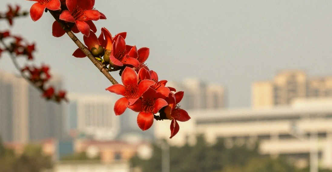 खाली डेटा, अधूरी कहानी: भारतीय एथलेटिक्स की रिपोर्टिंग में 'स्टेज-1' विफलता की कीमत